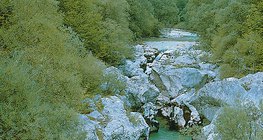 喀斯特高原的河谷