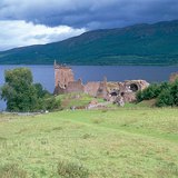 海洋气候区的绿色草甸