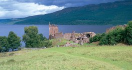 海洋气候区的绿色草甸