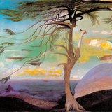 蒂华达·贡茨卡·贡特瓦里：孤独的雪松