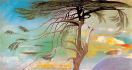 蒂华达·贡茨卡·贡特瓦里：孤独的雪松