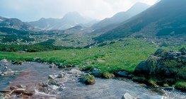 雷泰扎特山脈，南喀爾巴阡山脈（羅馬尼亞）