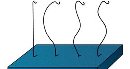 观察脊柱的曲线