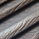 鸟羽的精细结构，带互锁的小球