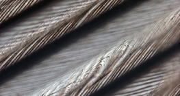 鳥羽的精細結構，帶互鎖的小球