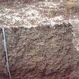 盐渍土壤的剖面