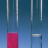 与水中的钙和铜的反应