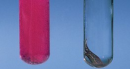 与水中的钙和铜的反应