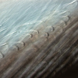 鸟羽的精细结构，带互锁的小球