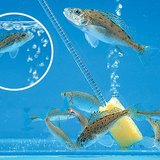 水族馆的换气系统