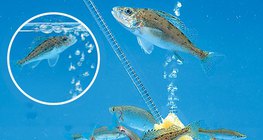 水族馆的换气系统