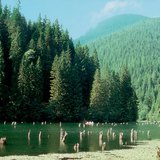 红湖（罗马尼亚）