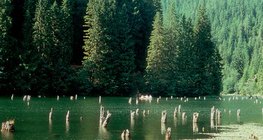 紅湖（羅馬尼亞）