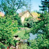 存储蔬菜的菜窖