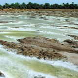 由于定期的湖泊蒸发形成的盐床