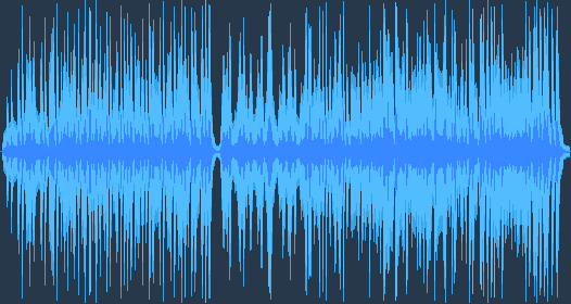 卡米尔圣桑 - 动物狂欢节