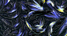 甘氨酸（氨基乙酸）晶體