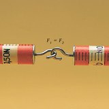 当彼此被拉开时，两个弹簧的刻度显示的力相等