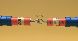 当彼此被拉开时，两个弹簧的刻度显示的力相等