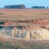 霍尔托巴吉的盐垫地形