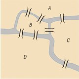 ケーニヒスベルクの七つの橋