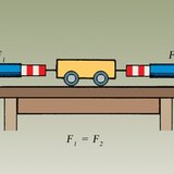 作用在相反方向上的相等力称为平衡力。