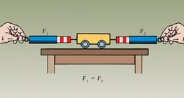 作用在相反方向上的相等力称为平衡力。