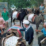 罗得岛的的士站