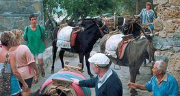 罗得岛的的士站