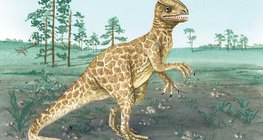 侏罗纪时期的恐龙