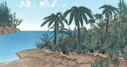 侏罗纪时期的植物志