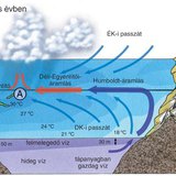 Az El Niño kialakulása – 1