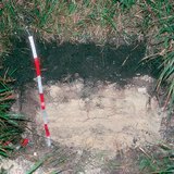 黑色石灰土的簡介