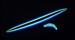 海綿骨針 - 微晶和巨核（湖生海綿）