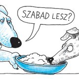 Erősebb kutya eszik