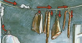 廚房和地下室裏的老鼠足跡