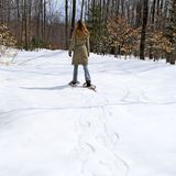雪兔