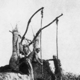 桔槔，埃及传统的提水设备