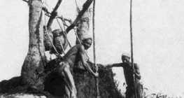 桔槔，埃及传统的提水设备