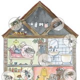 사람의 집에서 다양한 절지동물도 많이 생활해요