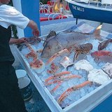 推荐的希腊海鲜