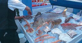 推荐的希腊海鲜