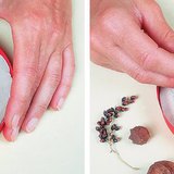 用秋天的植物制作浮雕 - 第1步