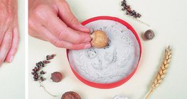 用秋天的植物制作浮雕 - 第1步