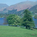 今天，在英格兰，公园景观取代了被砍伐的森林