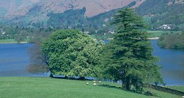 パークランドはイングランドの森林破壊地域で発見される