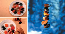 自制冬季的鳥食