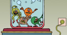 高温端的粒子运动更加剧烈