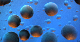 大肠杆菌菌落（有色背景）