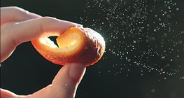정유 오렌지 – 껍질